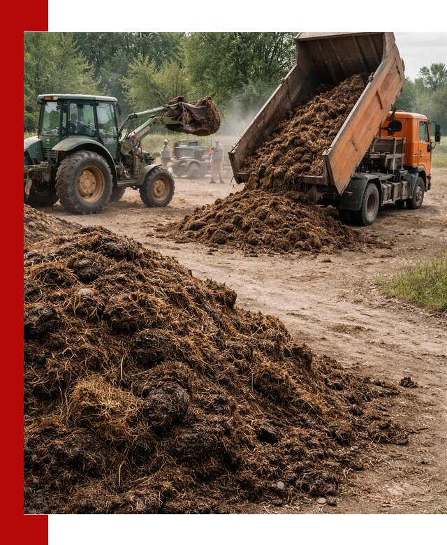 Доставка навоза самосвалами в Осинниках для сельхозпотребностей